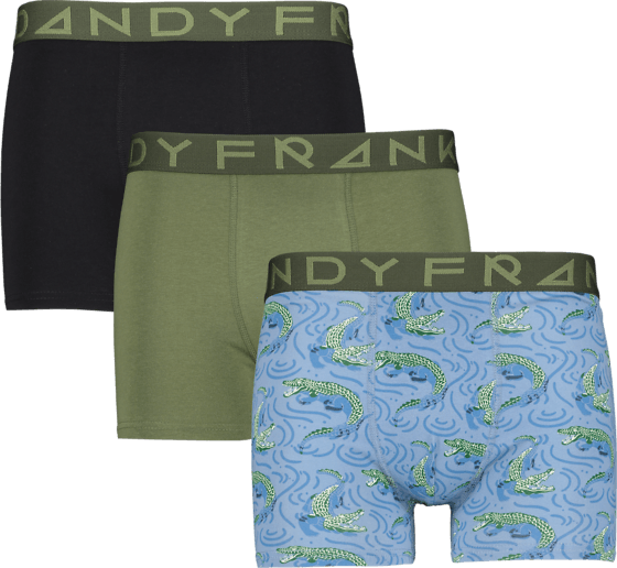 296501131104, SO 3-P BOXER M, FRANK DANDY, Detail