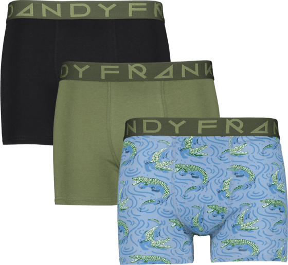 
FRANK DANDY, 
SO 3-P BOXER M, 
Detail 1
