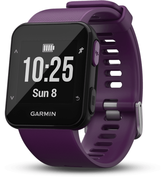 garmin connect forerunner 30