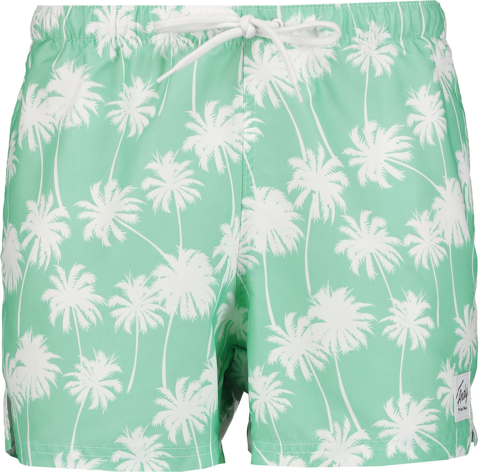 ANDY BY FRANK DANDY, SO BEACH SHORT M